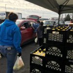 Volunteers load food into cars at the Food Bank of Delaware’s mobile food pantry in Georgetown, Delaware.