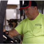 A farmer who lost his arm as a child drives a tractor with his right hand. He wears a bright t-shirt with a pocket and a black ball cap with red trim. A dog sits over his right shoulder.